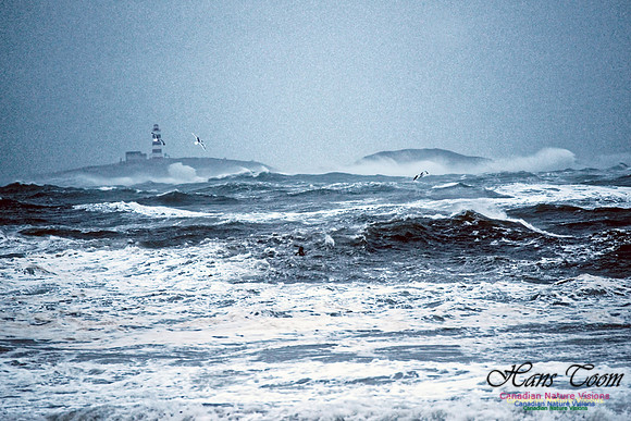 Blustery Day 4