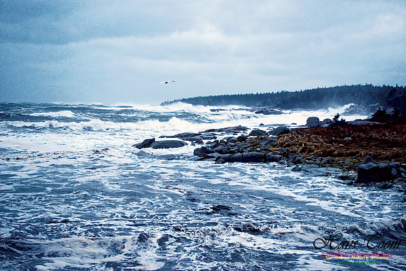 Blustery Day 3