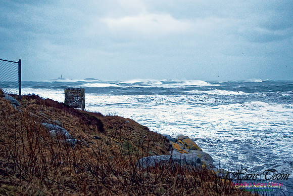 Blustery Day 2