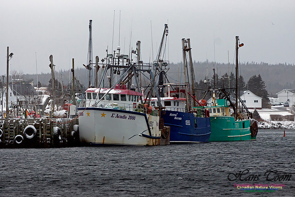 Sambro Harbour Fishing Fleet