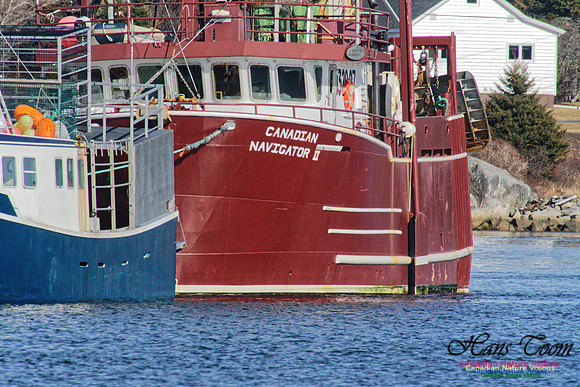 Offshore Fishing Boat 1