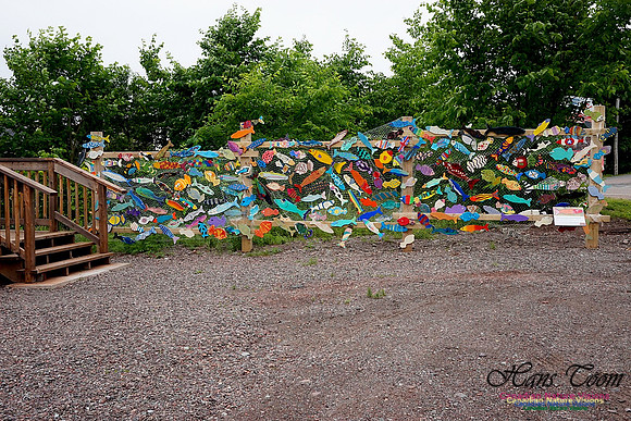 Advocate Fish Motif 102