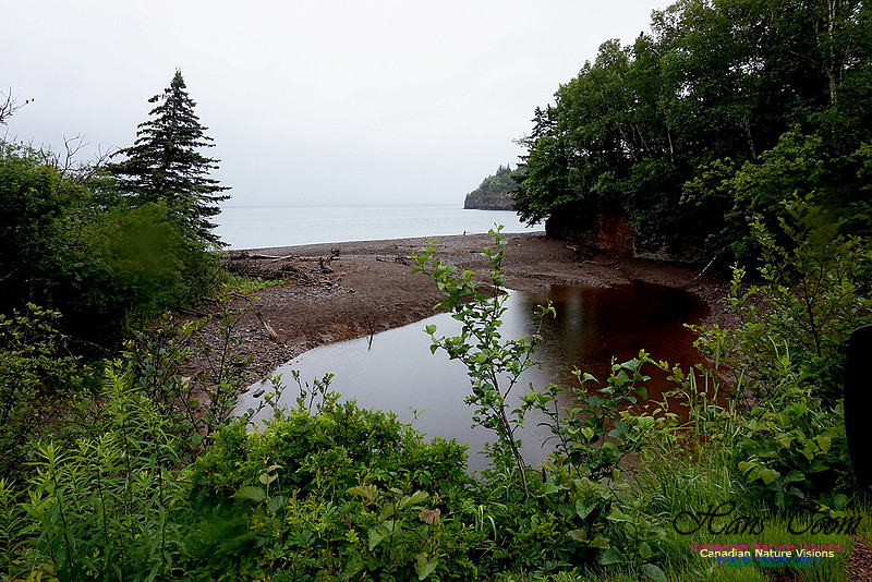 Seaside Pond 100