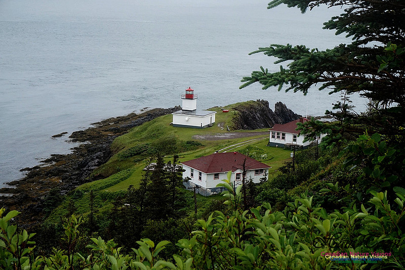 Cape d'Or Light 100