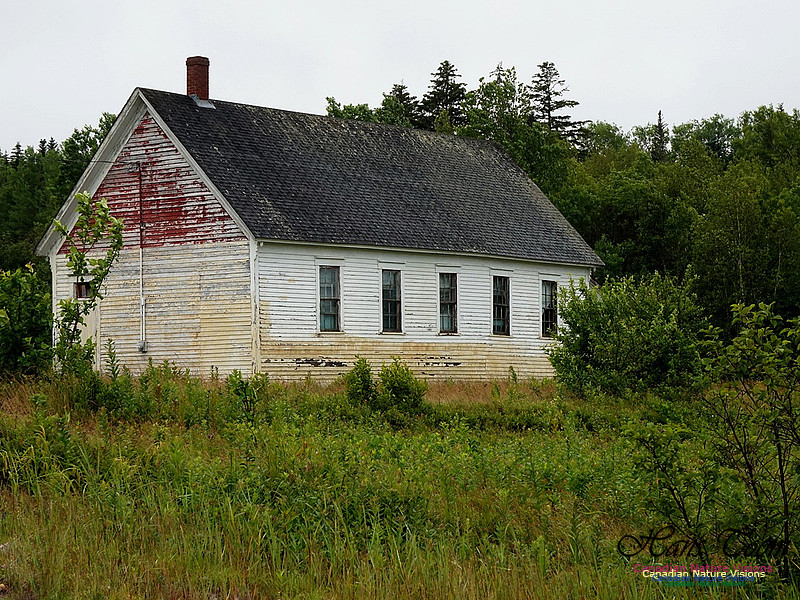 School House 100