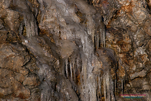 Ice Sculpture
