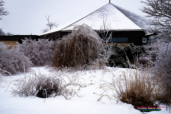 Ice Storm 2022 114