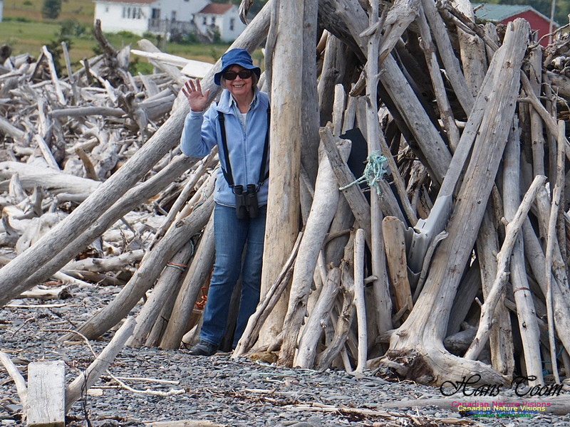 Laura and wood Pile