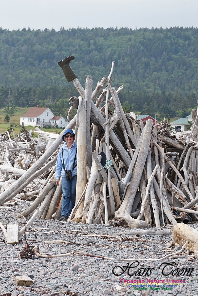 Laura and wood Pile 101