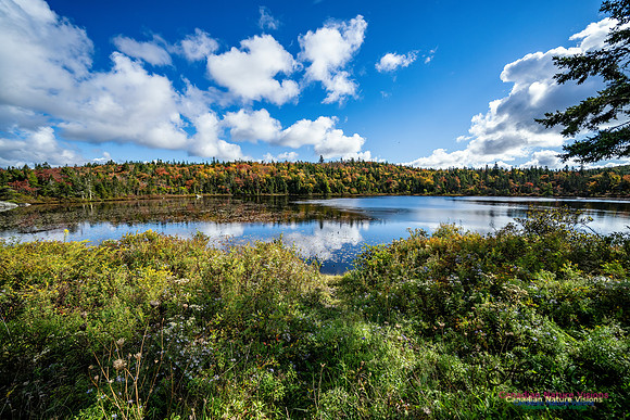 Sambro Loop 128