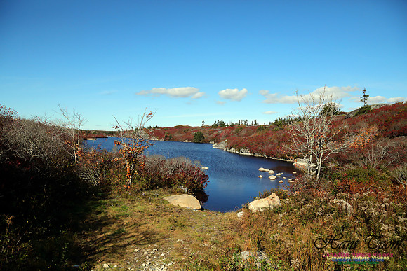 CoastalBarrensFall2016-1025