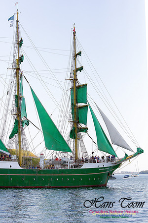 Alexander Von Humboldt II 2