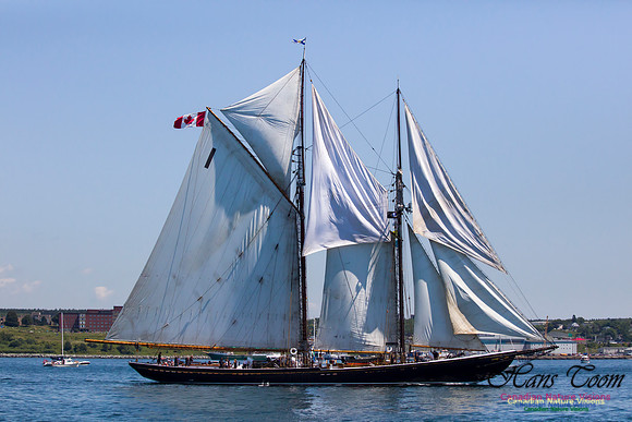 Bluenose II 2