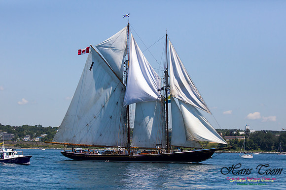Bluenose II 4