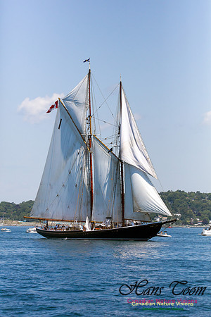 Bluenose II 9
