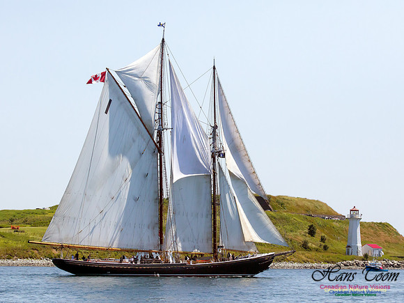 Bluenose II 12