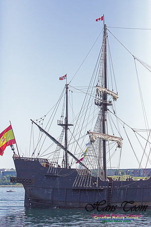 El Galeon 1