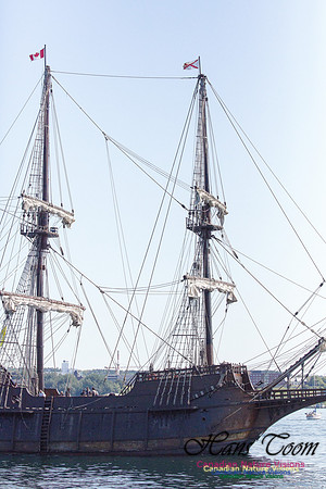 El Galeon 3