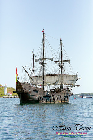 El Galeon 5