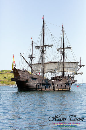 El Galeon 6