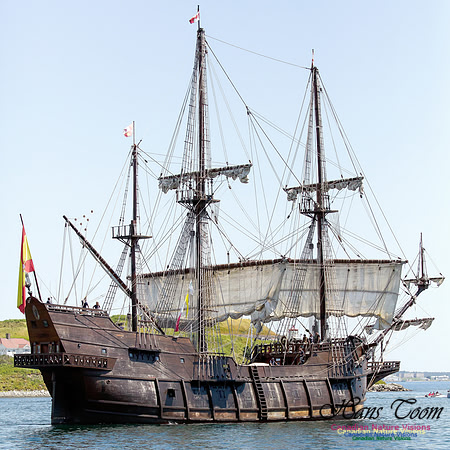 El Galeon 7