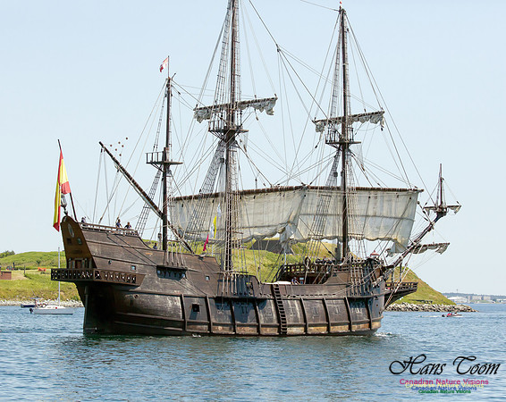 El Galeon 8