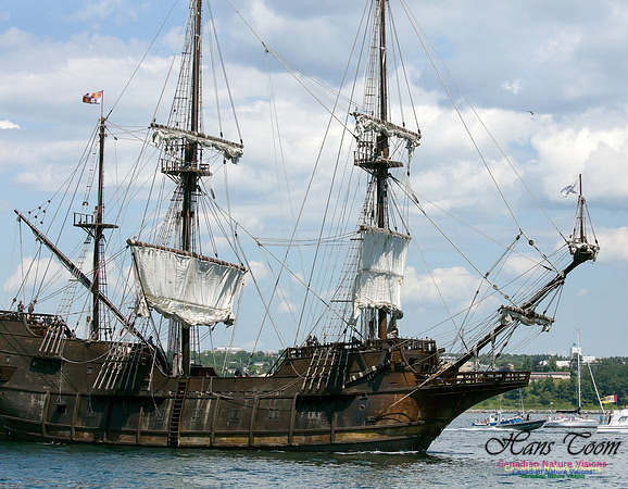 El Galeon 12