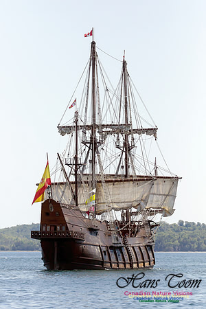 El Galeon 13