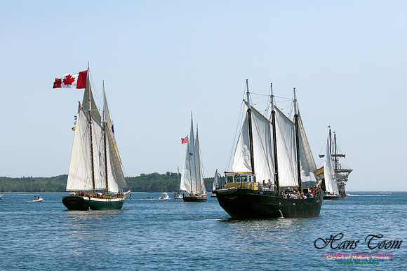 Flottila 2