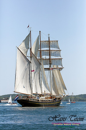 Gulden Leeuw 2