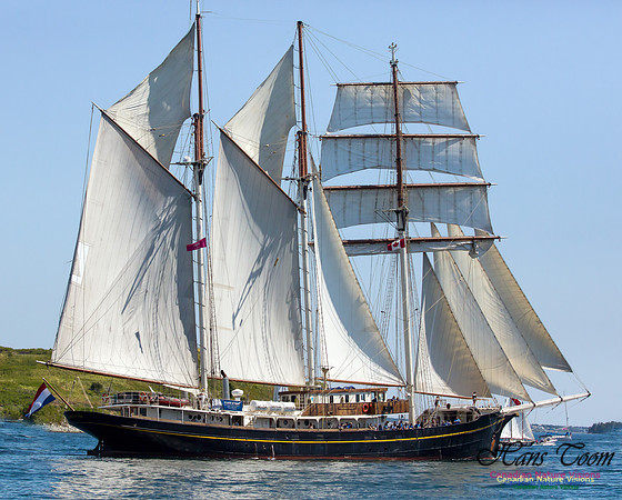 Gulden Leeuw 3