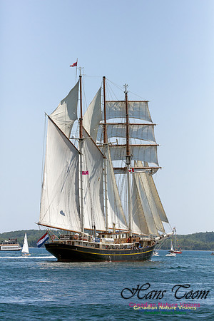 Gulden Leeuw 4
