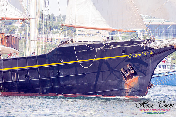 Gulden Leeuw 9