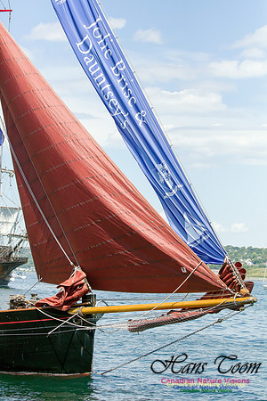 Jolie Brise 4