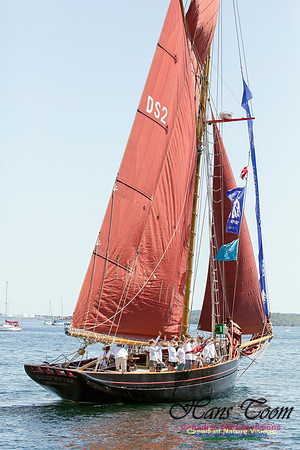 Jolie Brise 6