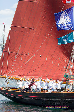 Jolie Brise 11