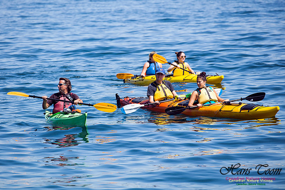 Kayakers 2