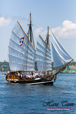 Larinda 8