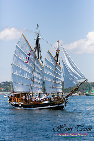 Larinda 9
