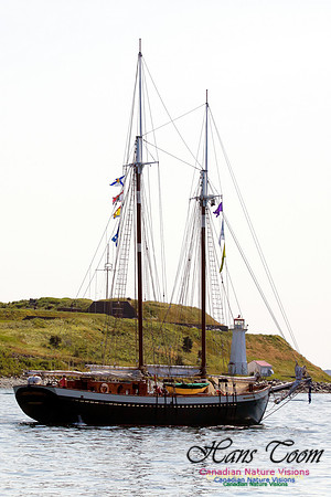 Mist of Avalon 1