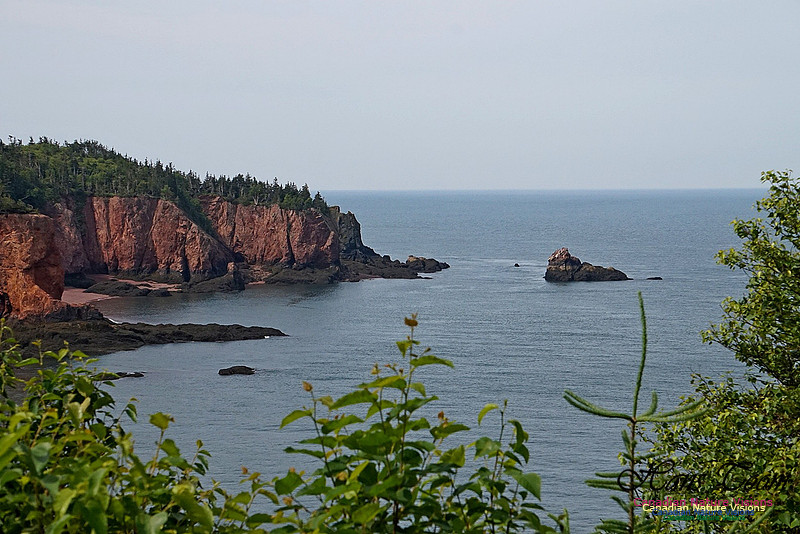 Anderson's Cove 106