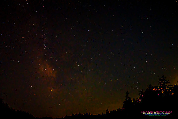 Night Sky Above Rees Lake 101