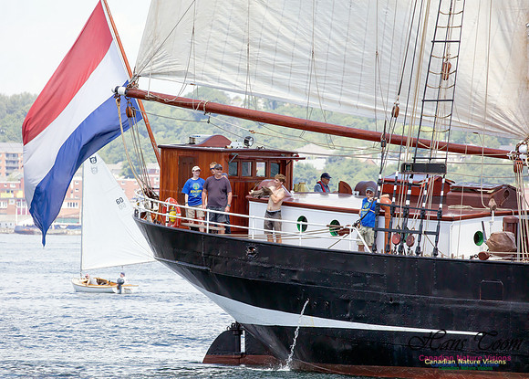 Oosterschelde 2