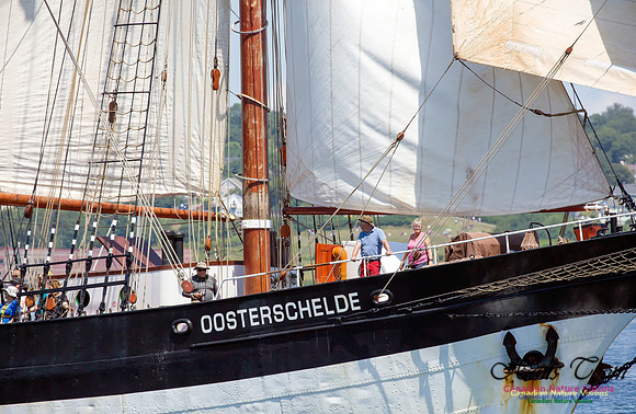 Oosterschelde 3