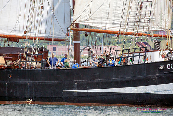 Oosterschelde 4