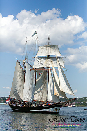 Oosterschelde 6