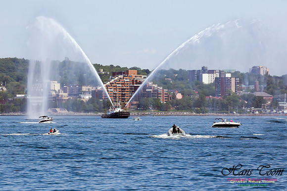 Parade of Sail 2