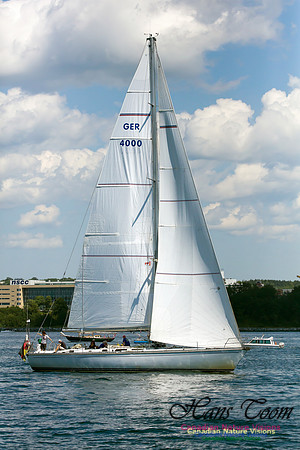Peter von Danzig 1