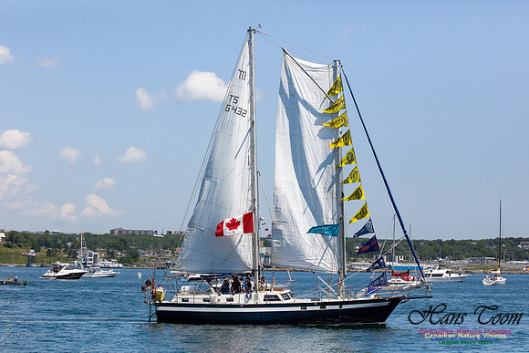 Regina-Germania 1