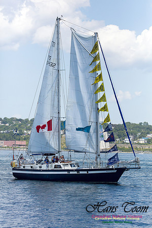 Regina-Germania 3